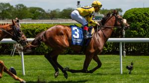 2025 Bowling Green Stakes at a Glance